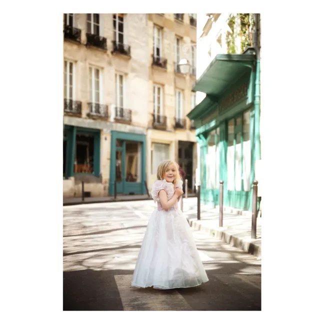 Vestido de princesa de platino | Rosa Pálido