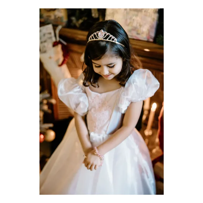 Vestido de princesa de platino | Rosa Pálido