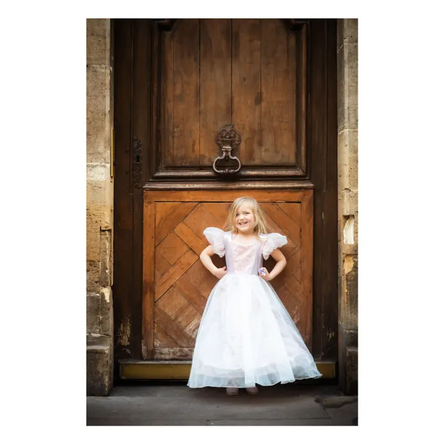 Vestido de princesa de platino | Rosa Pálido