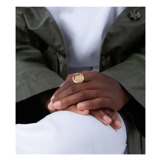 Galaxy signet ring | Gold
