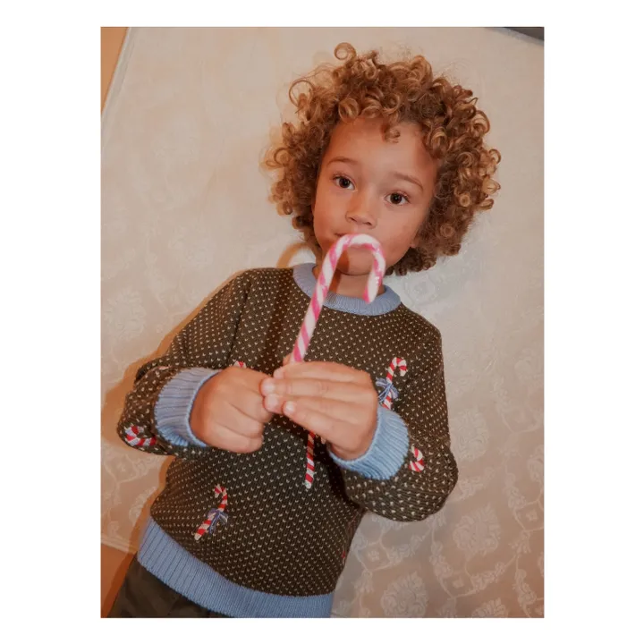 Pull Jasper Mérinos | Vert- Image produit n°1