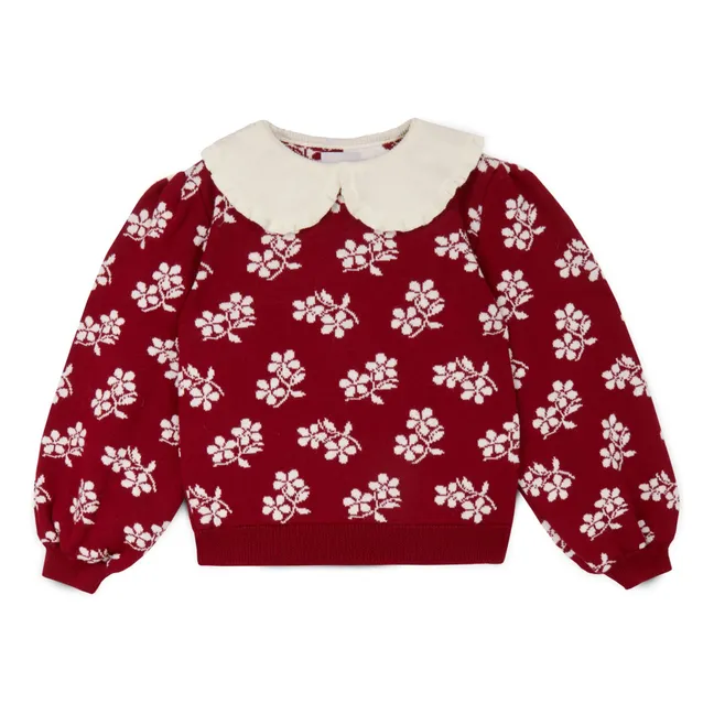 Claudine collar sweater Lila Merino wool | Red