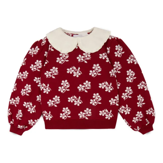 Lila Maglione con colletto Peter Pan in lana merino | Rosso