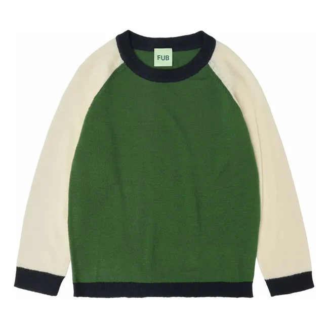 Jersey de lana merina de punto fino con bloques de color | Verde