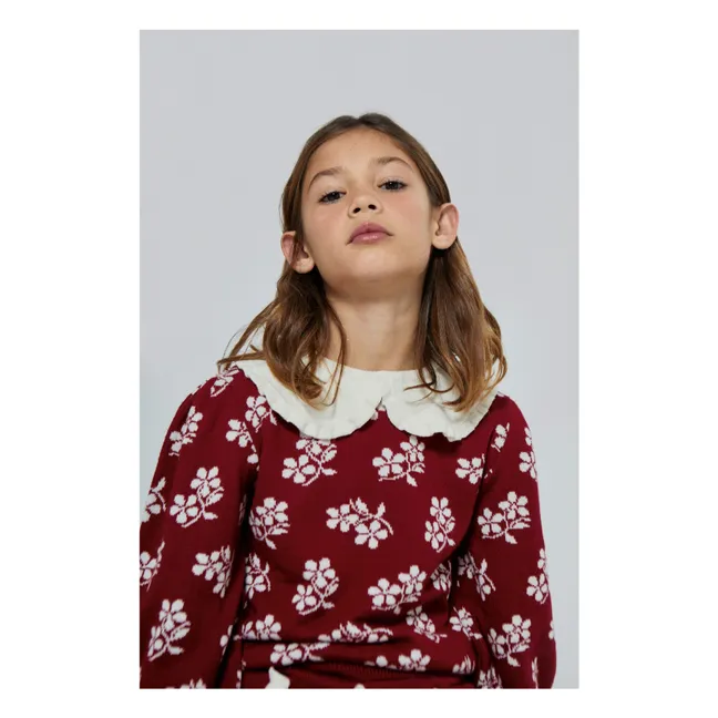 Claudine collar sweater Lila Merino wool | Red