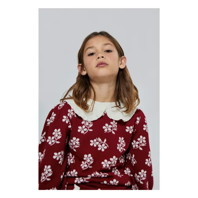 Lila Maglione con colletto Peter Pan in lana merino | Rosso