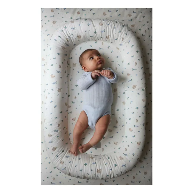 Cale bébé Blueberries