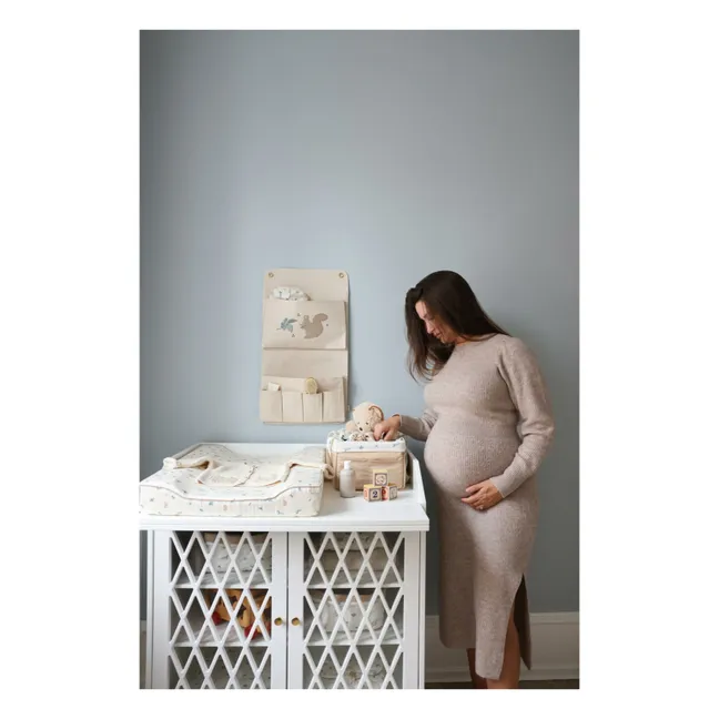 Cambiador de arándanos