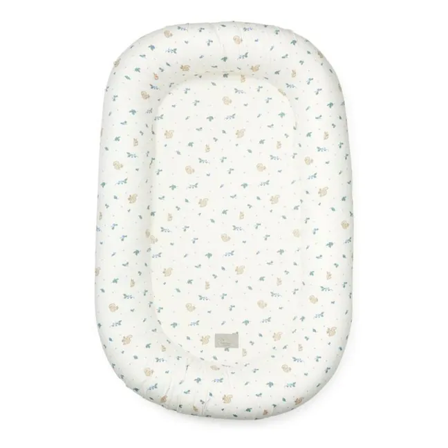 Blueberries baby wedge