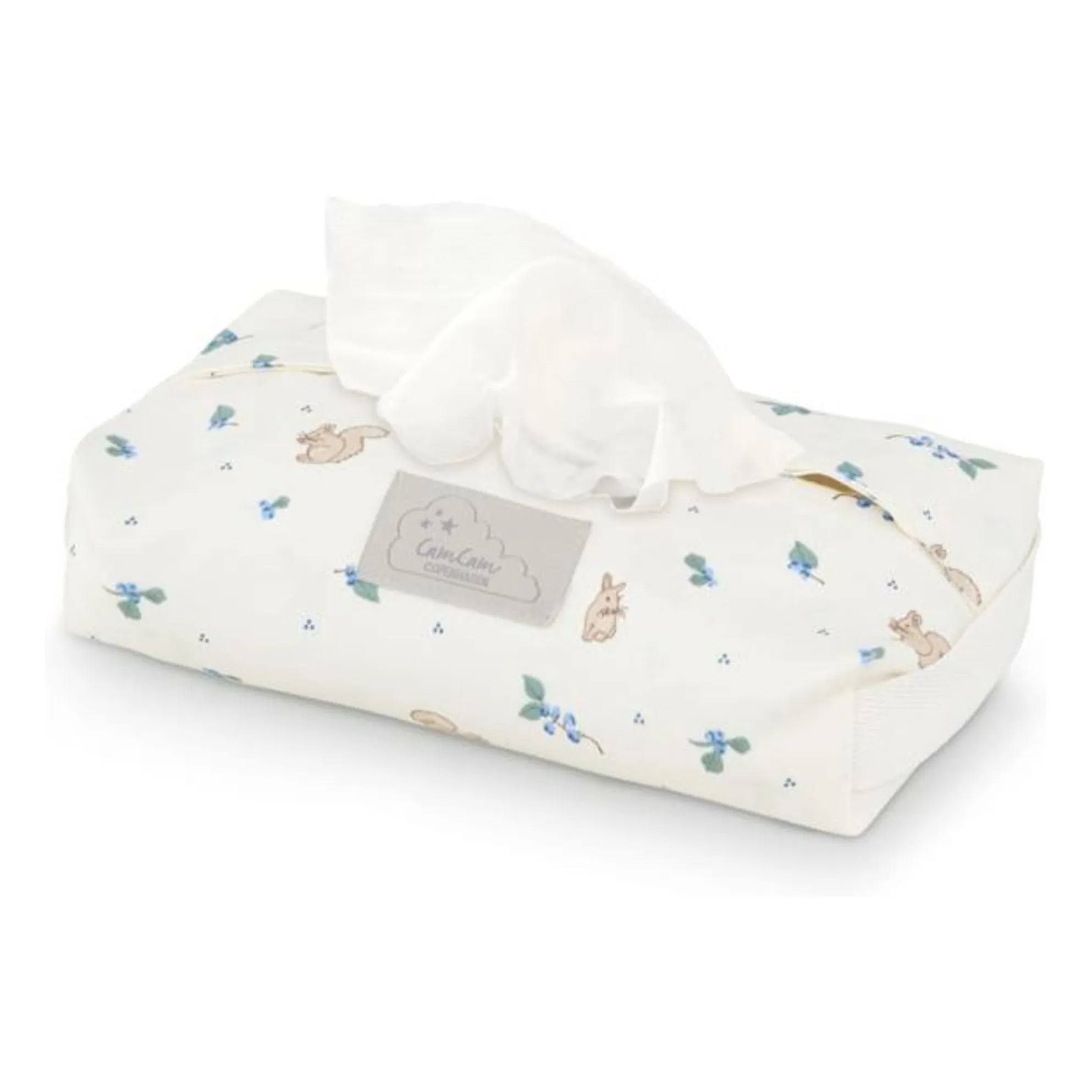 Cam Cam Blue Case For Berries Wipes