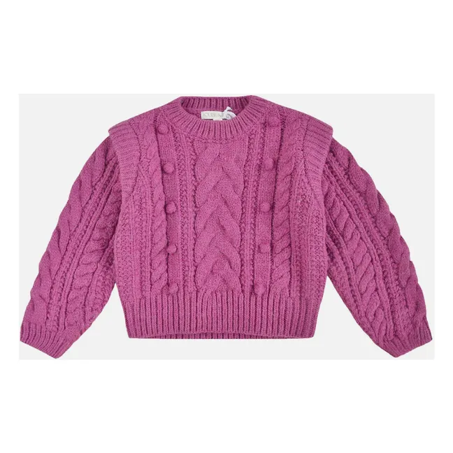 Anikalia Wool Cable Sweater | Framboise