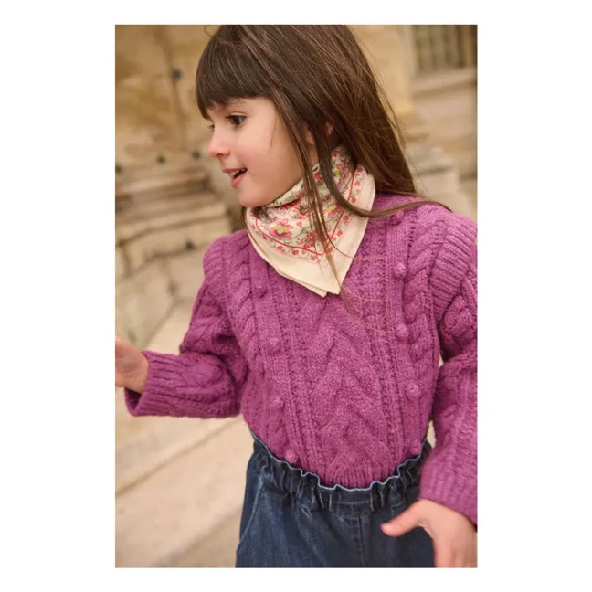 Anikalia Wool Cable Sweater | Framboise