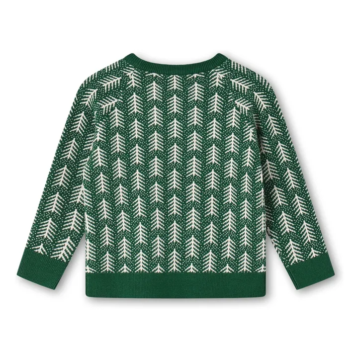 Pull Benna Three | Vert- Image produit n°1