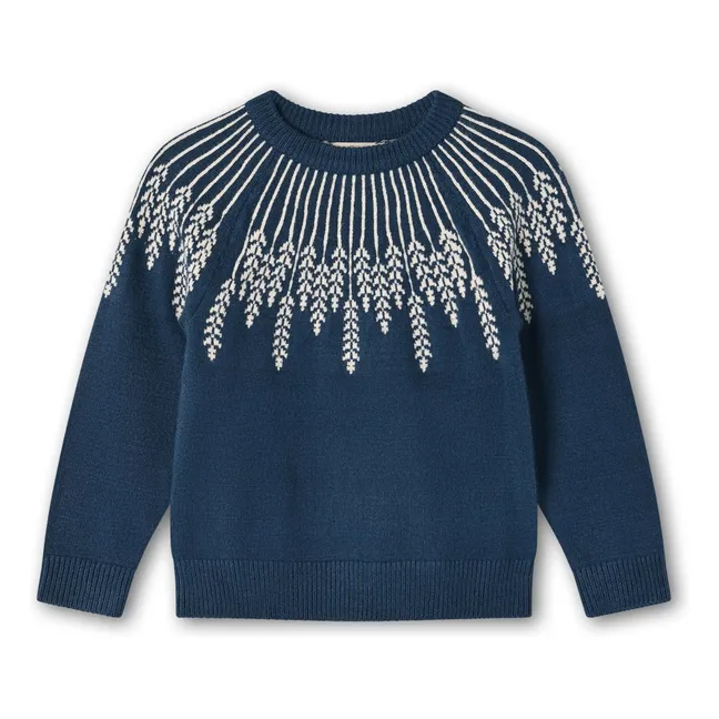 Pull Alon Leaf | Bleu