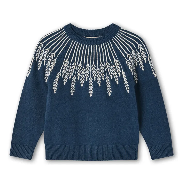 Pull Alon Leaf | Bleu- Image produit n°0