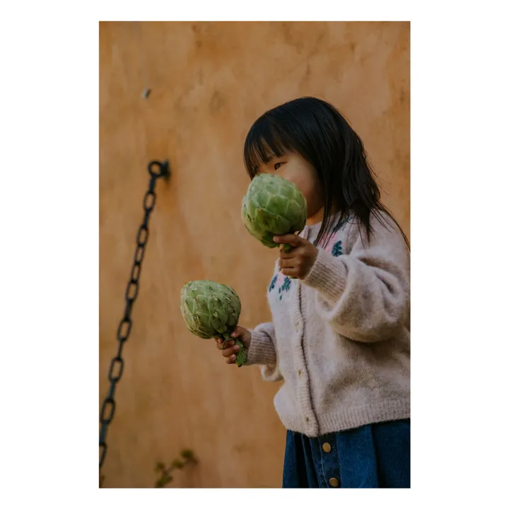 Cardigan Star Laine Alpaga | Rose pâle- Image produit n°5