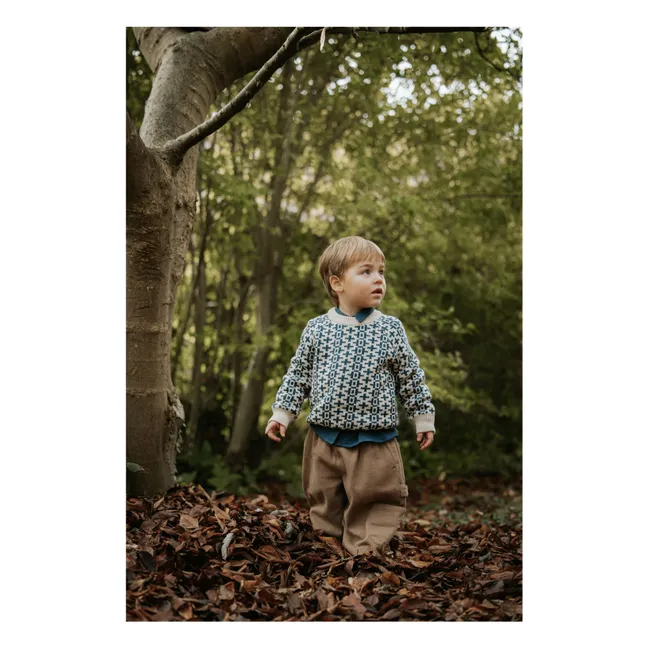 Maglione in cotone organico Nova Nordic | Blu