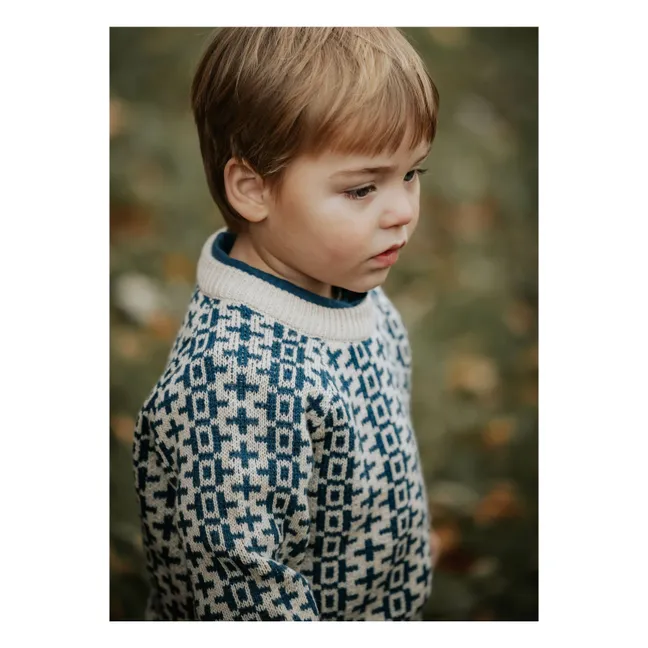 Nova Nordic Organic Cotton Sweater | Blue