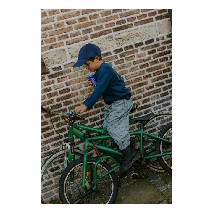 Pantalon Cody | Bleu gris- Image produit n°6