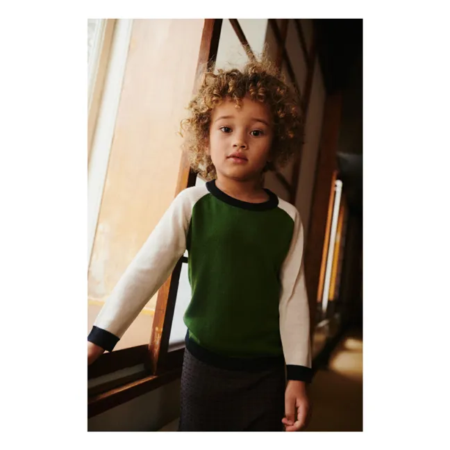 Jersey de lana merina de punto fino con bloques de color | Verde