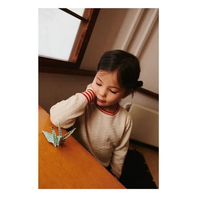 Jersey Zigzag Lana merina de punto fino | Crudo