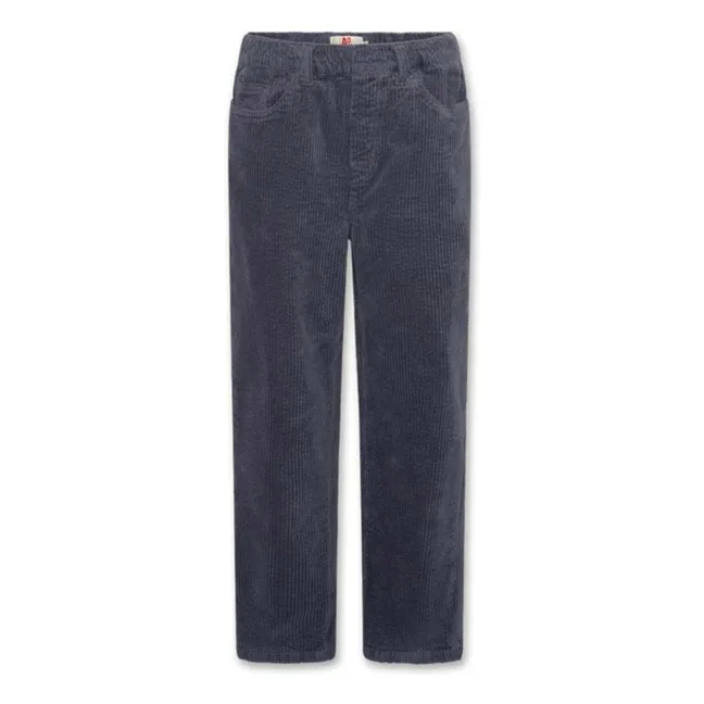 James pants | Navy blue