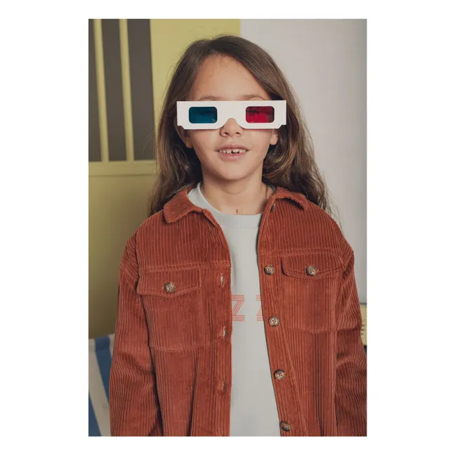 Chemise Oscar | Terracotta