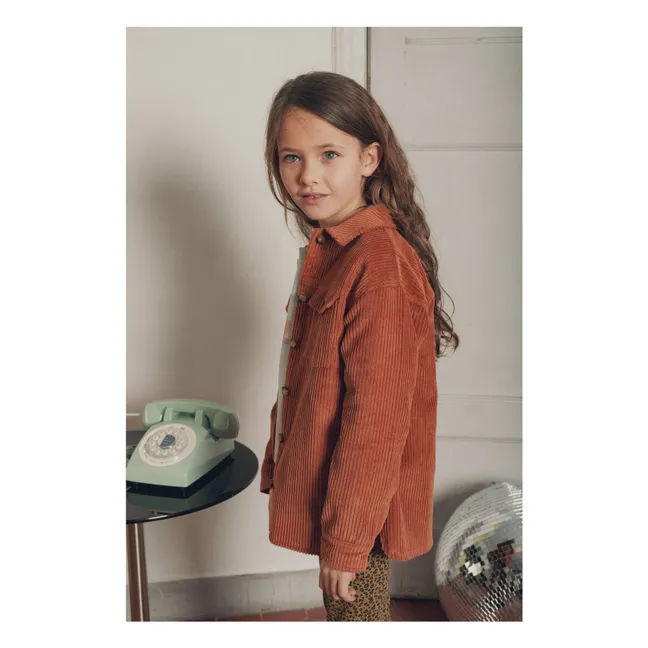 Camisa Oscar | Terracotta