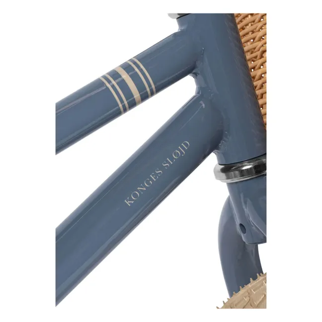 Draisienne Stripes | Bleu