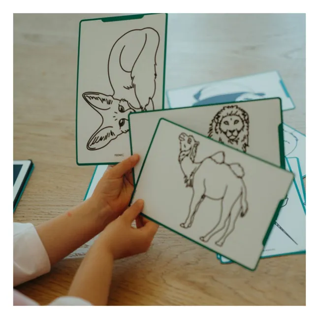 Refill for Kidydraw Mini - Pirates, princesses and wild animals