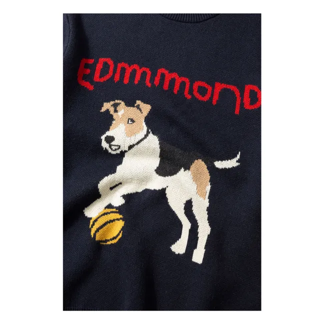 Pull Finot | Bleu marine