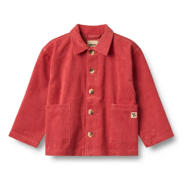 Camicia a coste in cotone organico salvia | Rosso