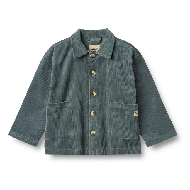 Camicia a coste in cotone organico salvia | Blu