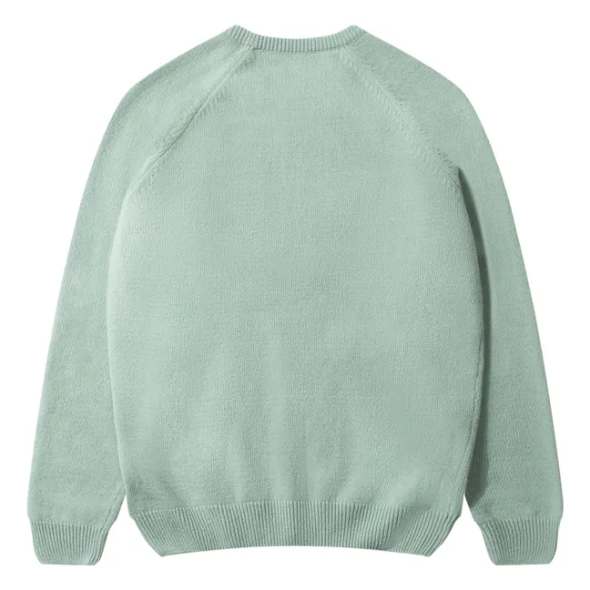 Pull Duck Patch | Vert d'eau
