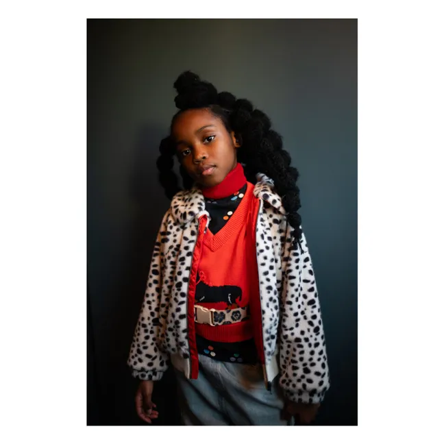 Jersey sin mangas para perro | Naranja