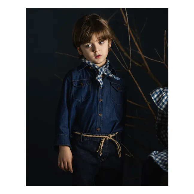 Chemise Ascanio Denim | Denim brut