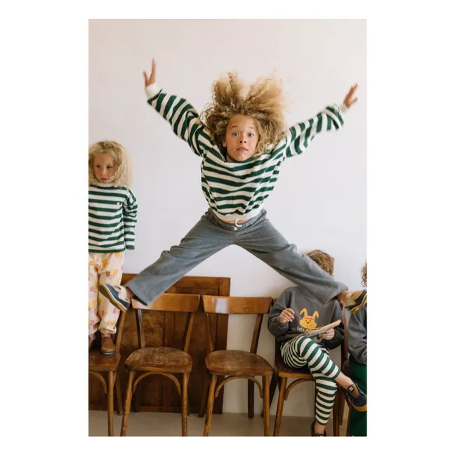 Sweat Tony Rayures | Vert