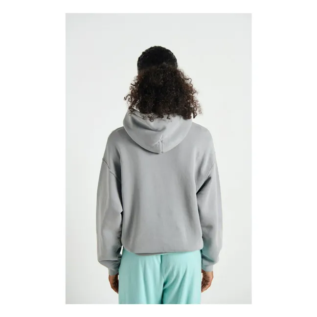 Sweat Capuche Izubird | Gris clair