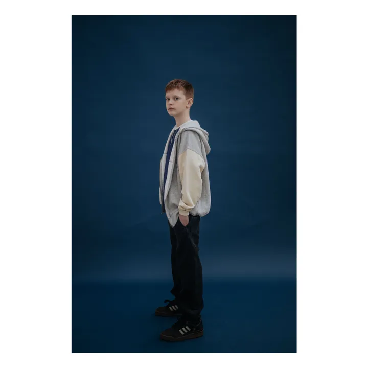 Sweat Zippé Tricolore Coton Bio | Gris- Image produit n°5