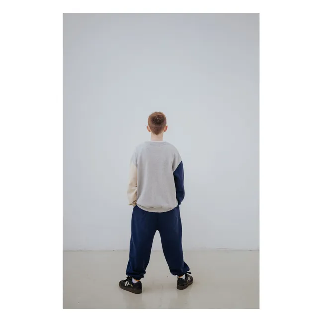 Sudadera tricolor de algodón orgánico Cozydrop | Gris