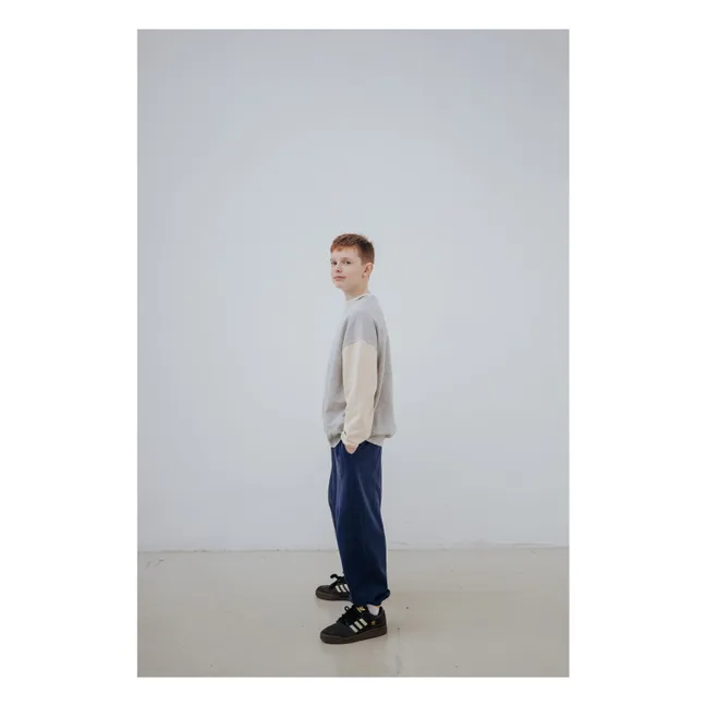 Sudadera tricolor de algodón orgánico Cozydrop | Gris