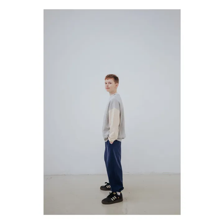 Sudadera tricolor de algodón orgánico Cozydrop | Gris- Imagen del producto n°3