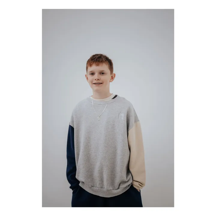 Sudadera tricolor de algodón orgánico Cozydrop | Gris- Imagen del producto n°2