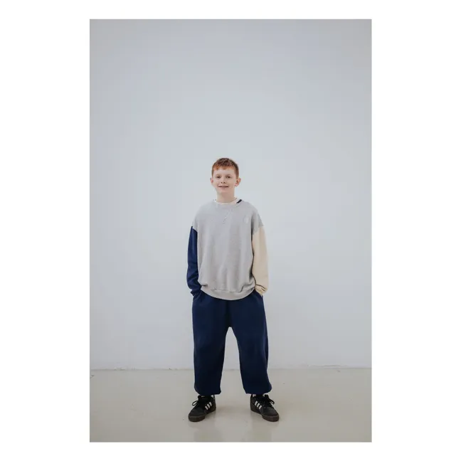 Sudadera tricolor de algodón orgánico Cozydrop | Gris