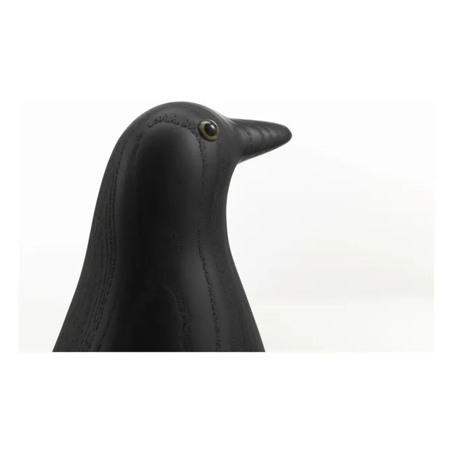 Pájaro doméstico pájaro decorativo   | Frêne noir