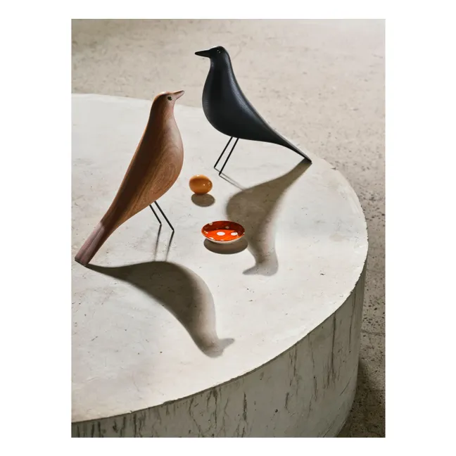 Pájaro doméstico pájaro decorativo   | Frêne noir