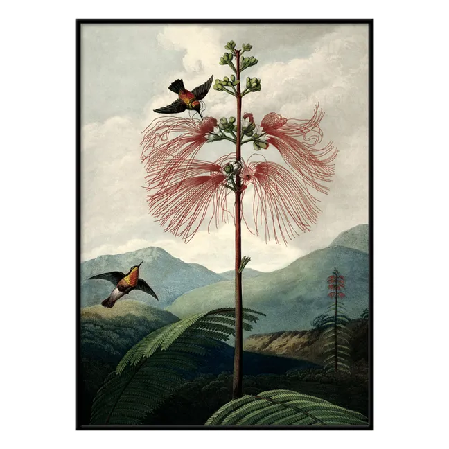 Cartel del Árbol de las Flores