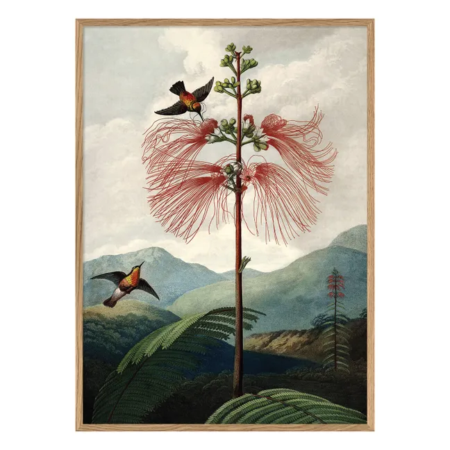 Cartel del Árbol de las Flores