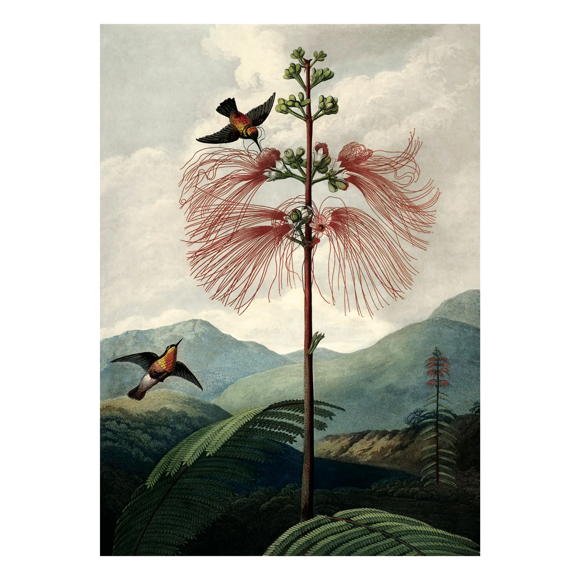 The Dybdahl Co. Multicoloured The Tree Of Flowers Poster