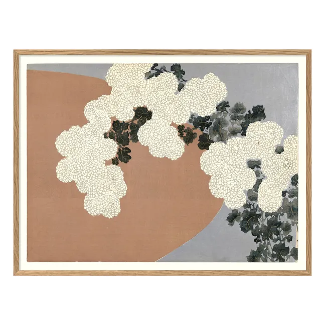 Affiche Chrysantemum